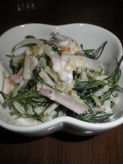 おかひじきとズッキーニのサラダ-レシピのメイン写真