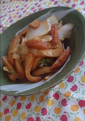 万能だれで白菜とひら天の煮浸し-レシピのメイン写真