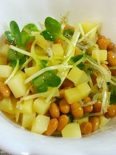 じゃがいもとかいわれ大根の納豆あえ♪-レシピのメイン写真