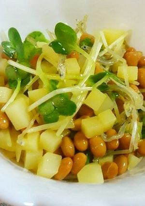 じゃがいもとかいわれ大根の納豆あえ♪-レシピのメイン写真