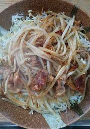 千切りキャベツと豚肉のもやし炒め-レシピのメイン写真