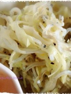 しらすとキャベツのにんにく炒め-レシピのメイン写真