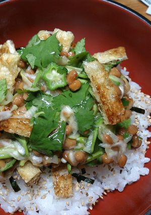 パクチーのねばねば丼-レシピのメイン写真