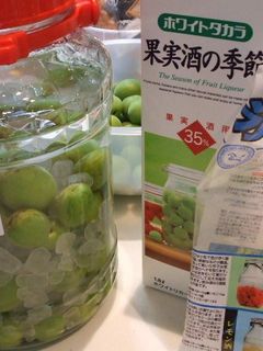 我が家の梅酒2014-レシピのメイン写真