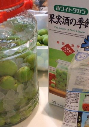 我が家の梅酒2014-レシピのメイン写真