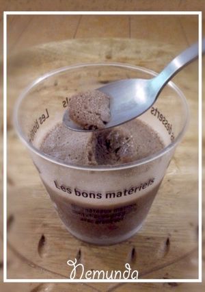 〓お家で作る＊チョコ味の牛乳アイス〓-レシピのメイン写真