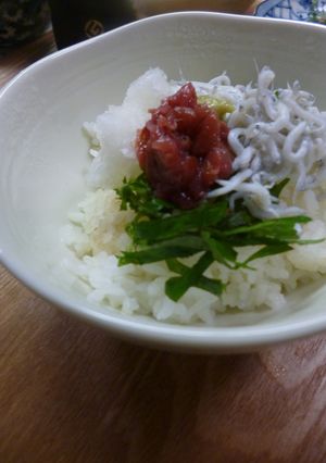 簡単・しらす丼-レシピのメイン写真