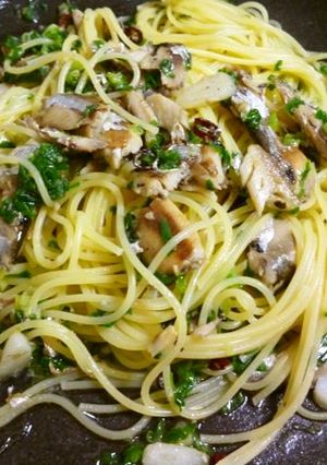 オイルサーディンと青ネギのパスタ-レシピのメイン写真