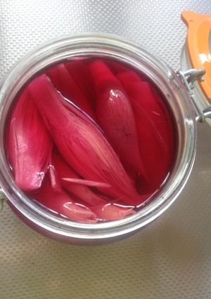 みょうがの梅酢漬-レシピのメイン写真