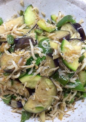 夏野菜としらすのサラダ-レシピのメイン写真
