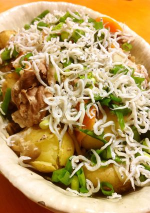 圧力鍋でシラス干しの和風肉じゃが-レシピのメイン写真