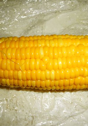 トウモロコシが美味しく味わえる茹で方-レシピのメイン写真