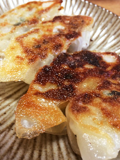 野菜たっぷり餃子-レシピのメイン写真