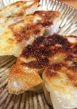 野菜たっぷり餃子-レシピのメイン写真