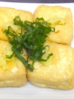 自家製厚揚げ-レシピのメイン写真