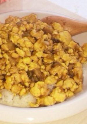 豆腐のドライカレー-レシピのメイン写真