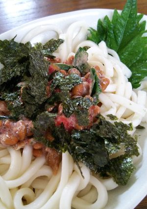 さっぱり冷やしうどん-レシピのメイン写真