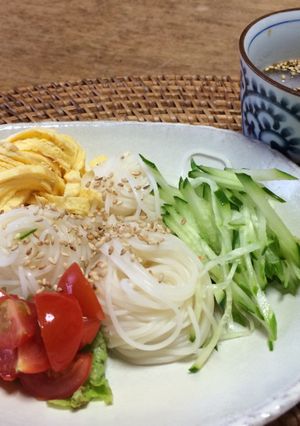 彩り素麺-レシピのメイン写真