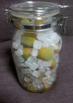 梅ジュース-レシピのメイン写真