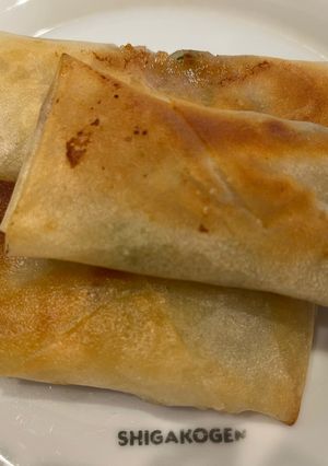 簡単　春巻き餃子-レシピのメイン写真