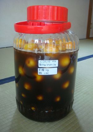 梅サワー　簡単分量-レシピのメイン写真