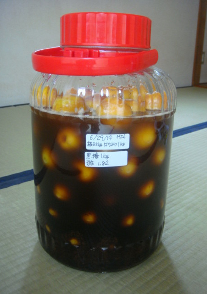 梅サワー　簡単分量-レシピのメイン写真