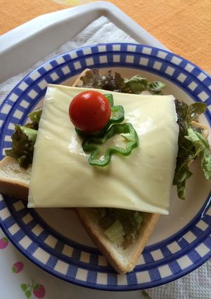 野菜たっぷりオープンサンド-レシピのメイン写真