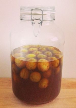 はちみつ梅酒-レシピのメイン写真