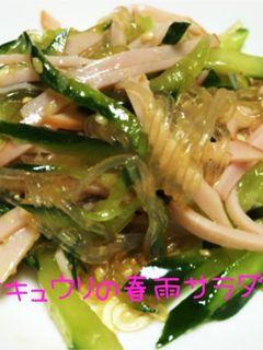 ☆キュウリの春雨サラダ☆-レシピのメイン写真