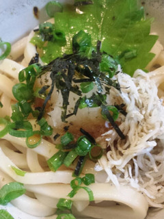 さっぱり♪しらすおろしぽん酢うどん-レシピのメイン写真
