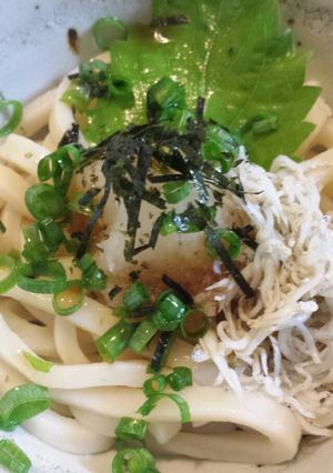 さっぱり♪しらすおろしぽん酢うどん-レシピのメイン写真