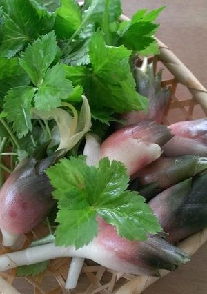 メモ書き*冷凍ストック野菜あれこれ-レシピのメイン写真