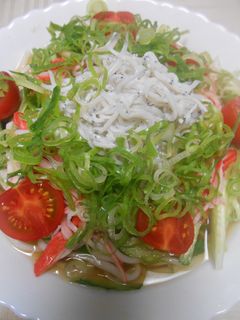 流水麺うどんで冷やしシラスおろしうどん-レシピのメイン写真