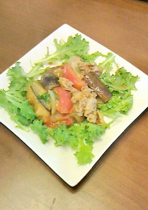 塩レモンde肉野菜味噌炒め-レシピのメイン写真