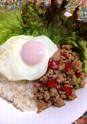 ＊鶏肉バジル炒め＊-レシピのメイン写真