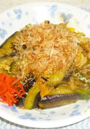 パパのナスチャンブル-レシピのメイン写真
