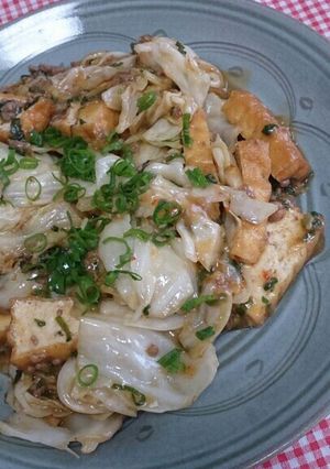 厚揚げとキャベツの麻婆風炒め-レシピのメイン写真