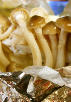 塩レモンで鱈のホイル焼き（包み方必見！）-レシピのメイン写真