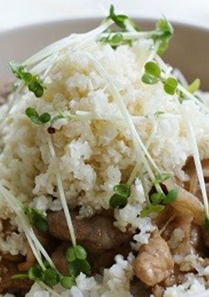 クスクス風カリフラワーの豚丼-レシピのメイン写真