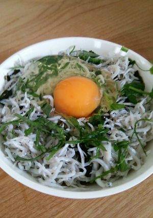 うちのしらす丼♪-レシピのメイン写真