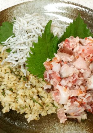 ごはんが美味しい♪なんちゃって沼津丼-レシピのメイン写真