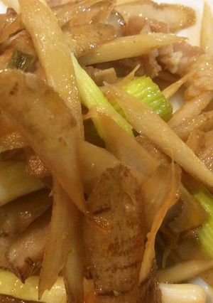 ごぼうとネギの豆板醤炒め-レシピのメイン写真