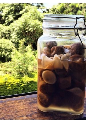 青梅こく蜜シロップ ちょこっとジンジャー-レシピのメイン写真