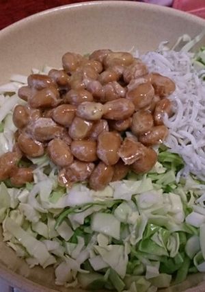 炭水化物抜きdiet 納豆ｷｬﾍﾞﾂ丼-レシピのメイン写真