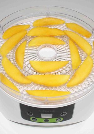 簡単☆食品乾燥機で自家製ドライマンゴー-レシピのメイン写真
