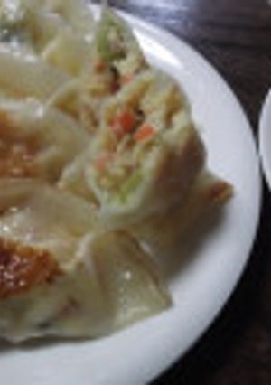 おからとゴーヤ入り餃子-レシピのメイン写真