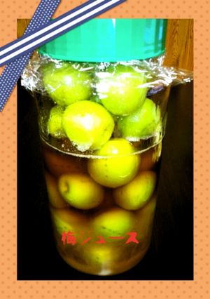 簡単♥濃厚梅ジュース-レシピのメイン写真