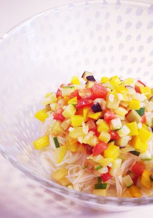 夏野菜彩り素麺-レシピのメイン写真