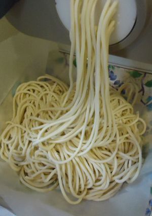ヌードルメーカーでまずはうどん-レシピのメイン写真