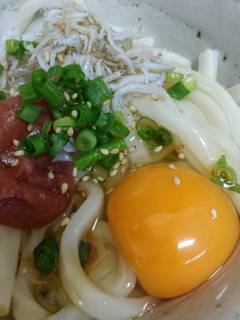 サッパリ♪梅しらす醤油うどん-レシピのメイン写真
